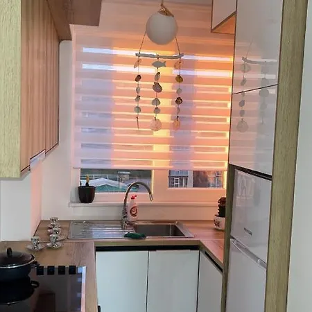 Apartament Shengjin Appartement *